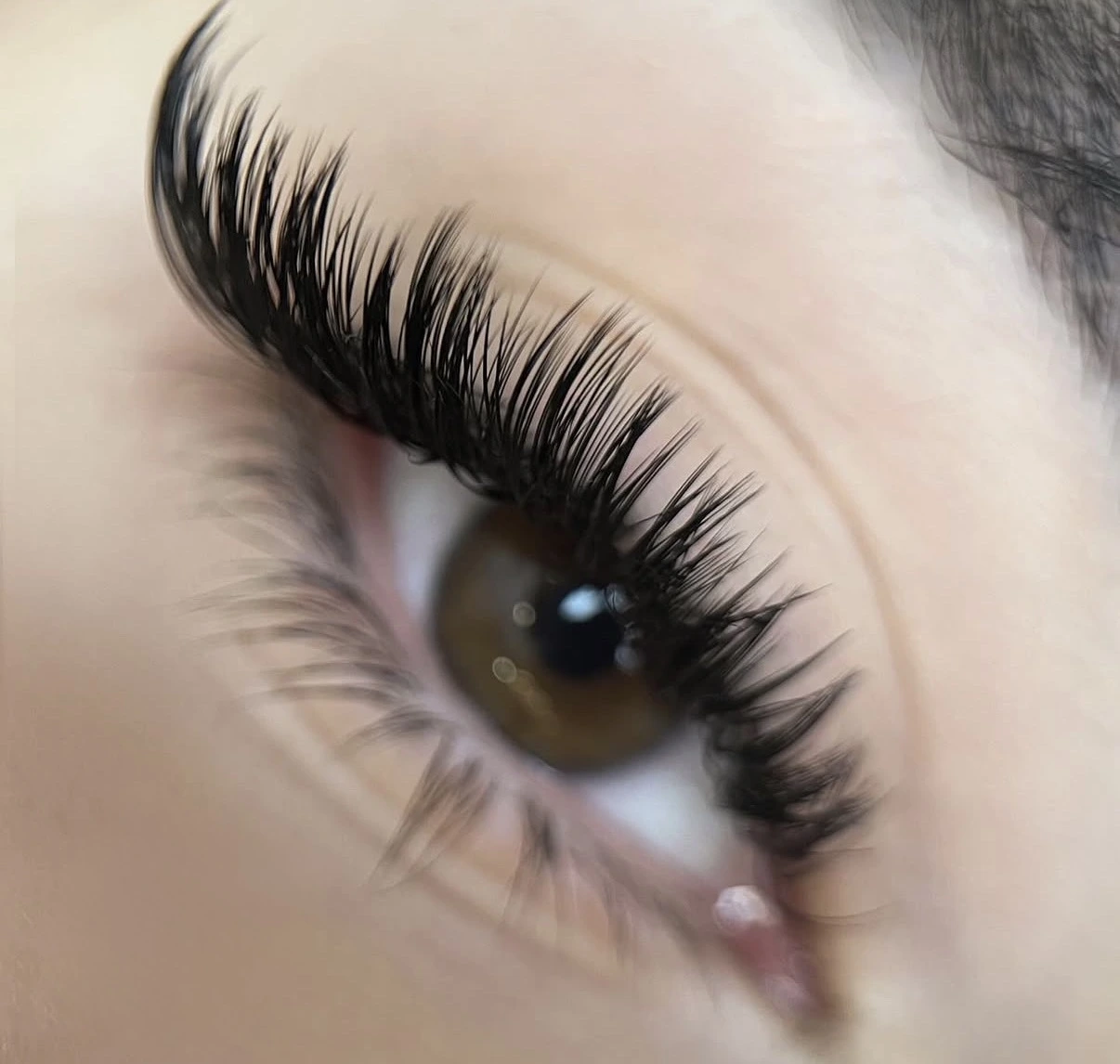 wimpernverlaengerung4