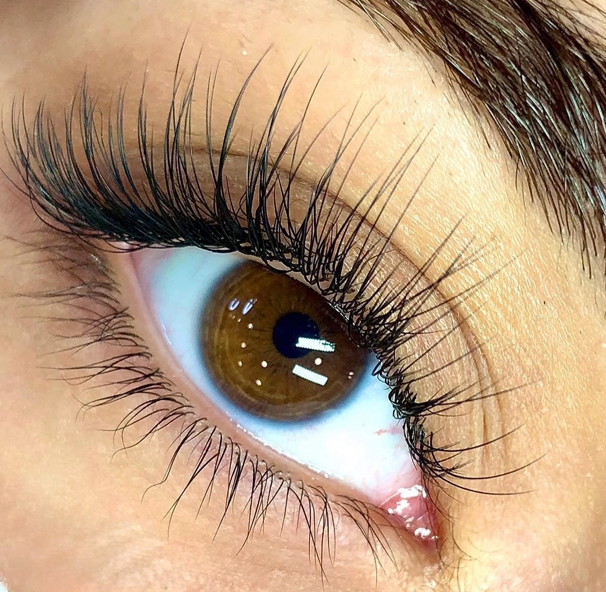 wimpernverlaengerung8